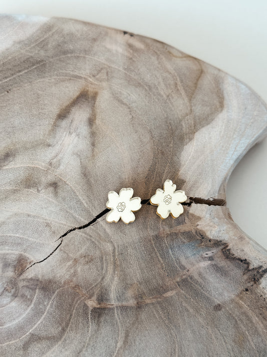 Senja-nappikorvakoru, kulta